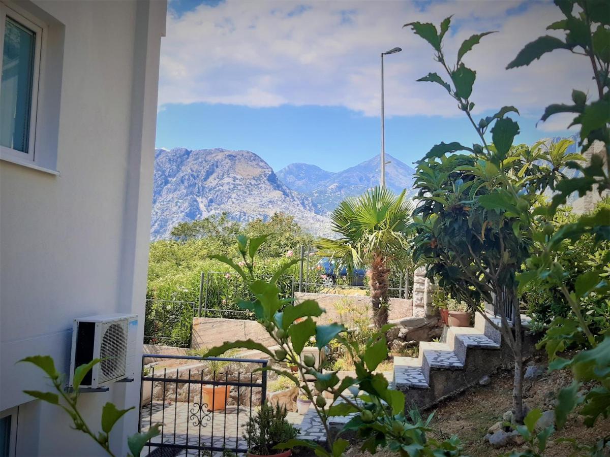 Apartments Sonja Kotor Ngoại thất bức ảnh